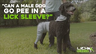 Lick Sleeve: Male Dog Urination Instructions