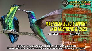 LAGI NGETREND..!!MASTERAN BURCIL IMPOR COCOK UNTUK BURUNG MURAIBATU - SIAP' BIKIN GEGER DI GANTANGAN