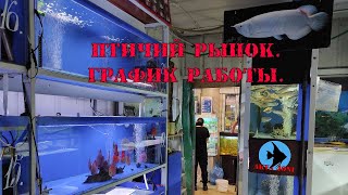 Птичий рынок. График работы.