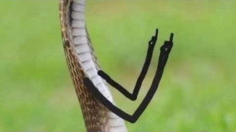 Cabal: Infinite Combo กุมภานี้ สตรีมเพื่อเธอ EP: 9