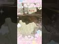 オリジナル曲