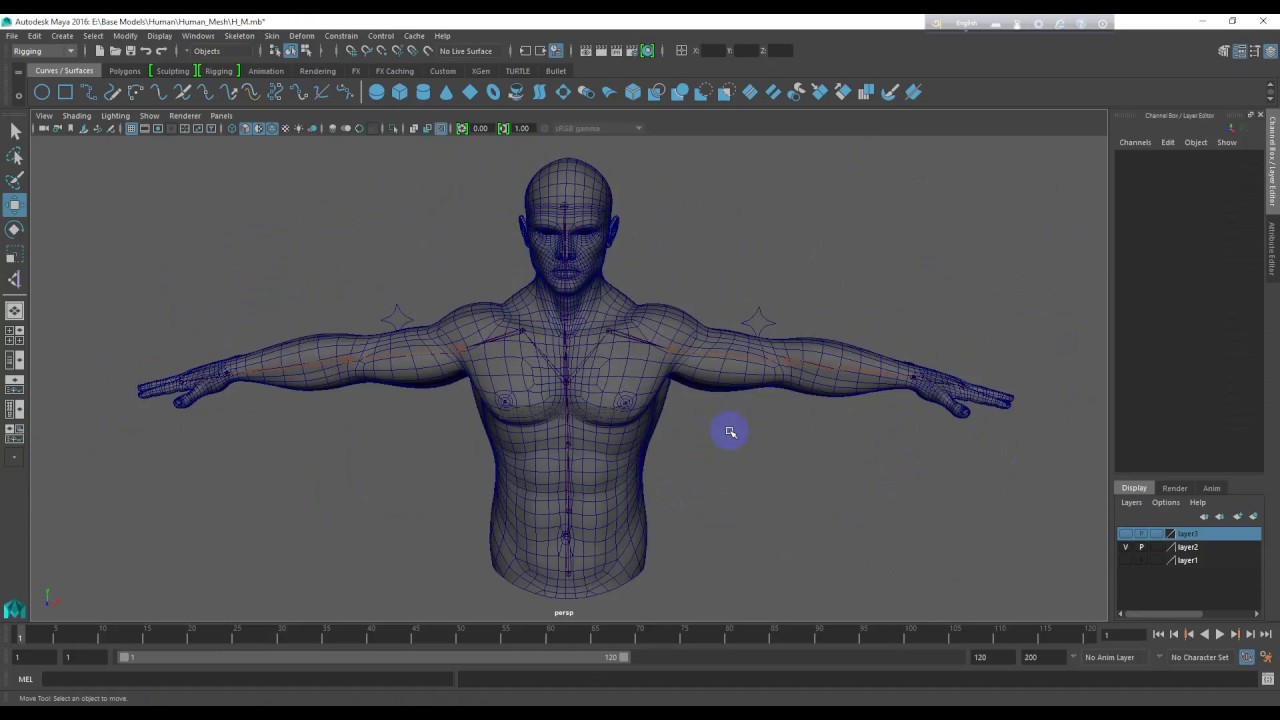 Maya Rigging Bangla Tutorial (IK-FK) Part-1 - YouTube