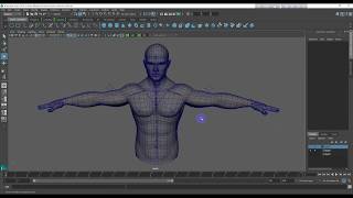 Maya Rigging Bangla Tutorial (IK-FK) Part-1