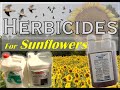 Herbicide cheat sheet  guide to spraying clearfield sunflowers  dove farming season 3