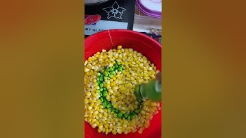 Cách Ủ Ngô ( Bắp ) 🌽 Câu Chép Trắm Hiểu quả 👍