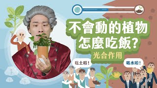 你吃牛、牛吃草、草吃...草到底吃什麼？！【LIS科學史】(瑟訥 ... 