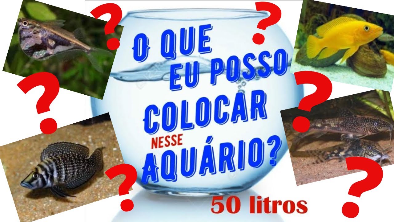 Posso Ferver A Agua Para Colocar No Aquario