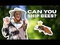How to ship queen bees | Ship Happens