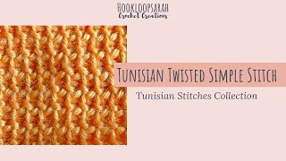 Tunisian Twisted Simple Stitch #1 - TUNISIAN STITCHES COLLECTION