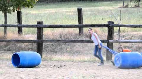 Come si chiama la moglie del cavallo?