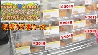 カブトムシやクワガタムシが2,019円！初売りセールが凄かった Beetle or stag beetle videos