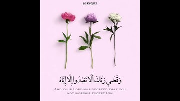 idres abikr ❤حالات واتس ادريس ابكر سوره الاسراء وقضى ربك الا تعبدوا الا اياه وبالوالدين احسانا