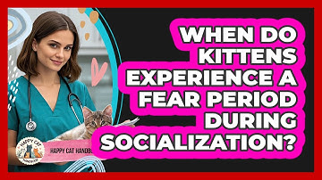 When Do Kittens Experience A Fear Period During Socialization? - Happy Cat Handbook