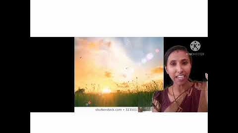 Class 2 - EVS- Lesson:3 - Module 3