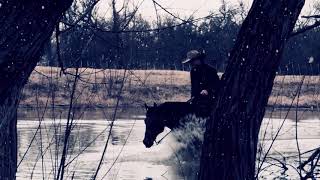 5 Star partners with Chris Cox Horsemanship!