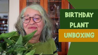 Birthday Houseplant Unboxing | Nursery 2U