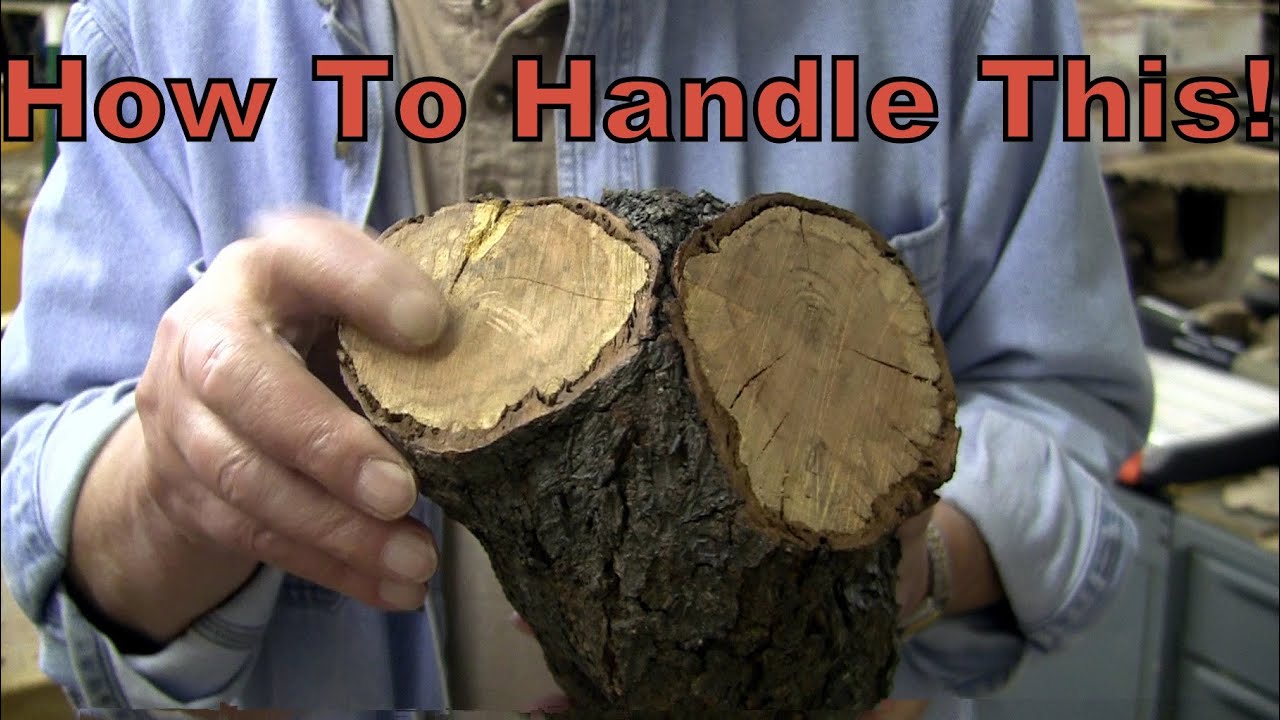 1 миска, 2 дна? 🤔 Точение древесины