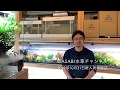 90cm流木レイアウトのワンポイント解説と新入荷情報⑩ 2019年10月31日号 AQUASHOP WASABI About aquatic plants