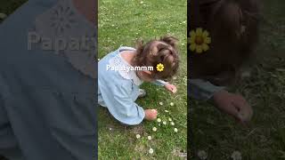 Bana Papatya Topluyormuşşş 🥹💕🌸 Resimi