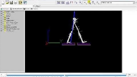 Visual3D Video Tutorial: Workspace Overview