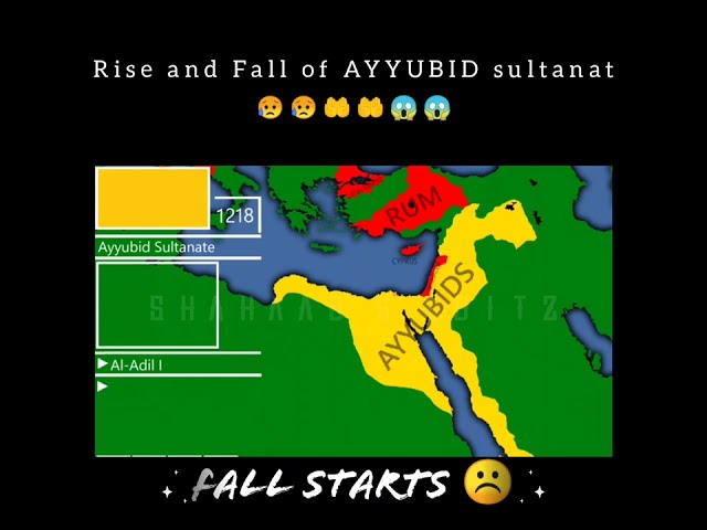 Rise and Fall of AYYUBID sultanat 😱😥 | #saladin #islamicstatus #ottmanempire #kingdomofheaven class=