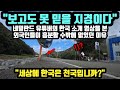 [단독외국인반응] "보고도 못 믿겠다" 네덜란드 유튜버의 한국 소개 영상에 외국인들이 흥분한 이유 // "한국은 천국이 틀림 없습니다"