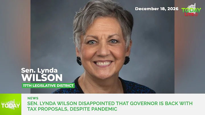 Sen. Lynda Wilson disappointed that governor is ba...