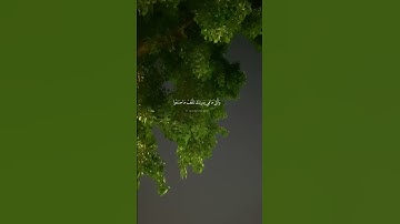 قُلْنَا لَا تَخَفْ إِنَّكَ أَنْتَ الْأَعْلَى (68)تلاوة شريف مصطفى