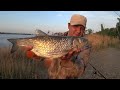 Весенняя Рыбалка на Волге Рыбалка на Закидушки Донку Ловля Голавля на Большой Реке Рыбалка 2021