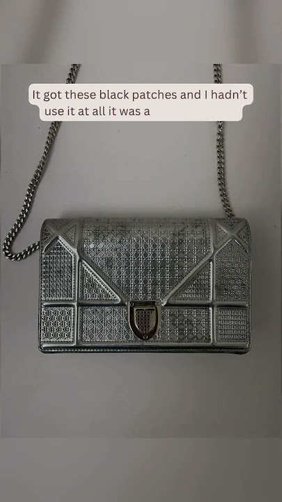 DIOR DIORAMA BAG IN METALLIC SILVER FALL 2017