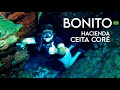 BONITO - Mato Grosso Do Sul (BR)  Ecoturismo en Hacienda Ceita Corê