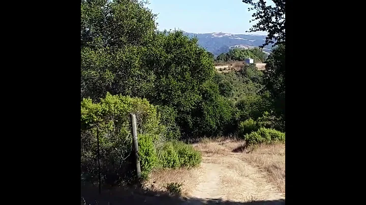 in my backyard