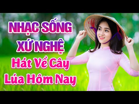 LK Nhạc Sống Xứ Nghệ 2021 – Hát Về Cây Lúa Hôm Nay – LK Nhạc Sống Thôn Quê Xứ Nghệ