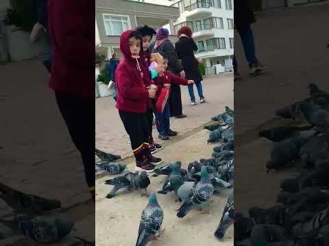 هل لك سر عند الله بالياباني 