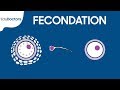 Fécondation - Embryologie générale