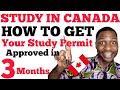 HOW TO GET YOUR STUDY PERMIT APPROVED IN 3 MONTHS|Document|process.