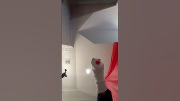 Showing off some of my sock puppet characters