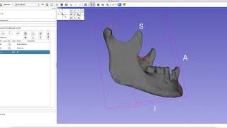 Using 3D Slicer to take linear measurements from an STL file