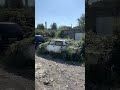 Жесткие сочинские парковки #shorts #sochi