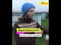 Петербуржец переехал в деревню и стал популярным пасечником