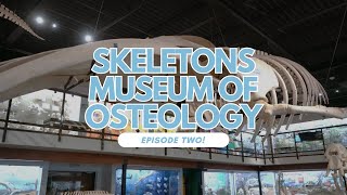 Dr. Whitley Visits The Museum Of Osteology Episode Two