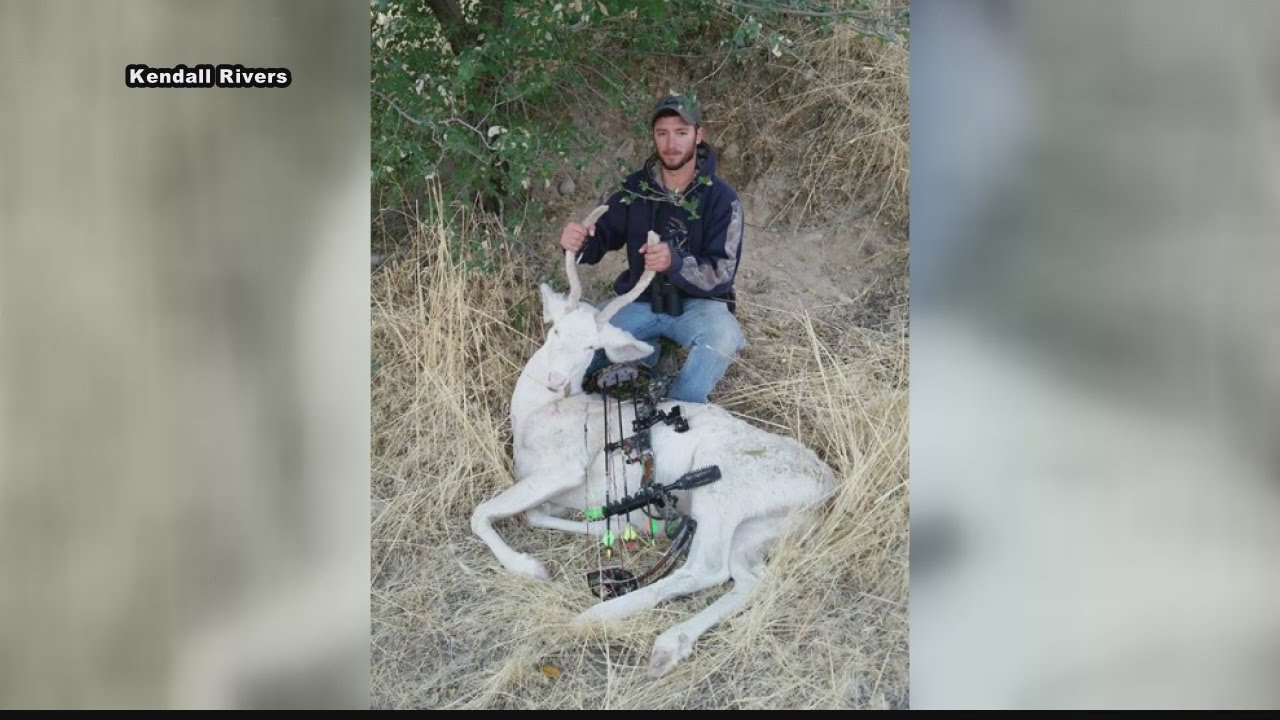 Rare albino buck shot by Emmett hunter YouTube