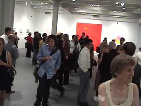 MICA MFA Thesis 2009 Exhibition II