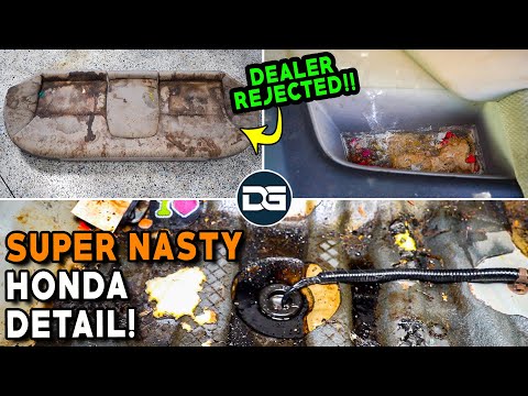 Super Cleaning a DISASTER Honda Civic! | Insane Dealer Rejected Detailing TRANSFORMATION!