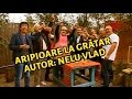 Aripioare la grtar nelu vlad azur