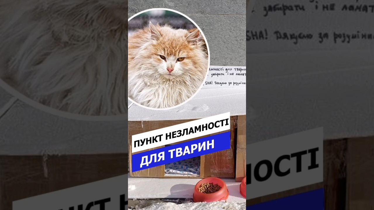 &laquo;Пункт незламності для тварин&raquo; у центрі Тернополя
