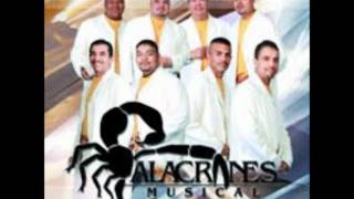 alacranes musical por el bien de los dos.wmv