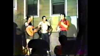 Old Fool - The Troubadours
