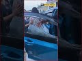 Bengaluru Road Rage Horror: Couple Attacked by 15 Men in Daylight After Warning Bikers