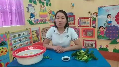 HĐ dạy làm con cá bằng bèo tây của cô giáo Đào Thị Liễu - Trường MN Sơn A